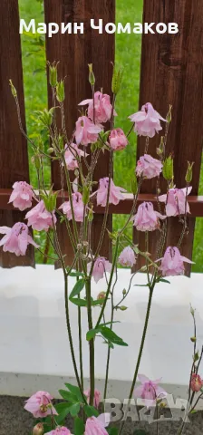 Парцел за продажба 1080 кв.м. Арбанашко бърдо , снимка 15 - Парцели - 50224660