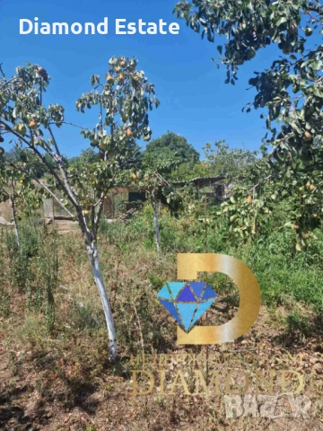 Къща в село Тракия, обл. Стара Загора, снимка 18 - Къщи - 46857236