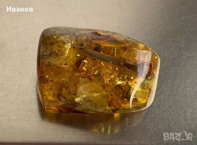 Балтийски кехлибар с отлично съхранени фосили , снимка 5 - Други - 33665443