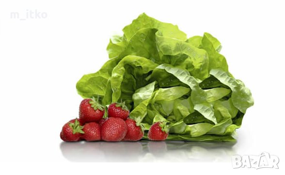 Bosch. Хладилник с фризер NoFrost, снимка 5 - Хладилници - 35651335