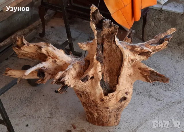 Декорация за градината -Корен от Дъб, снимка 5 - Декорация за дома - 48558312