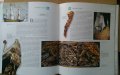 Паруснъие корабли, снимка 5