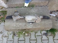 4 бр. Серво рейки Audi A3 8P + Golf 5 + Jetta 1K1 909 143L електро с мотор, снимка 6