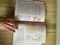 Книга за билките, снимка 4