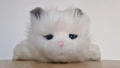 little live pets cat интерактивно плюшено коте, снимка 9