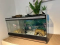 Терариум за гекон/гущер 60х30х30 с 2 нагреватея, купички и укрития, снимка 4