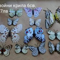 3D пеперуди с двойни и единични крила, снимка 11 - Декорация за дома - 33539065