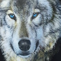 Нова мъжка тениска с трансферен печат Вълк със сини очи, Серия вълци, снимка 2 - Тениски - 27554751