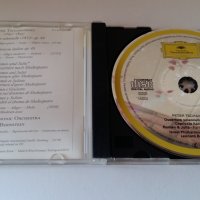 PETER TSCHAIKOWSKY-BERNSTEIN, снимка 3 - CD дискове - 28608829