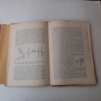 Физиология на човека + Физиология 1929 , 1933 г, снимка 6 - Специализирана литература - 28873518