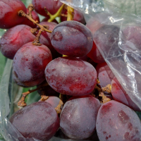 Семена от много едро перуанско червено грозде, снимка 1 - Сортови семена и луковици - 36432053