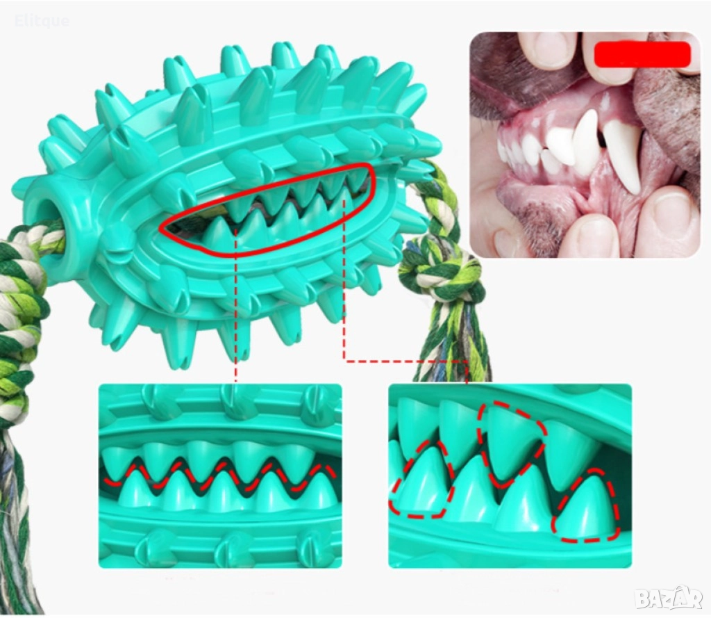 Играчка кактус – четка за зъби за домашни любимци, снимка 1