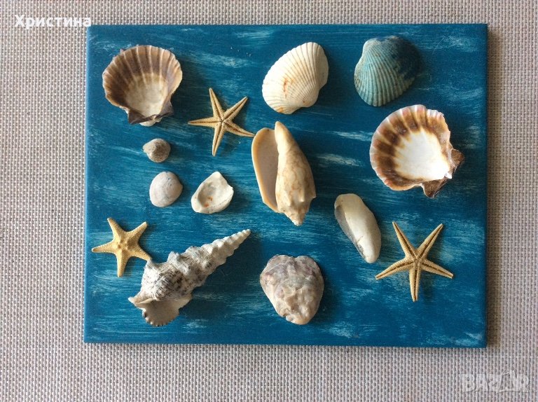 Пано “Морско дъно”, снимка 1