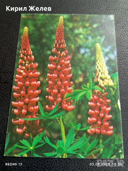 Старо календарче серия ЦВЕТЯ много красиво за КОЛЕКЦИЯ ДЕКОРАЦИЯ 25998, снимка 1