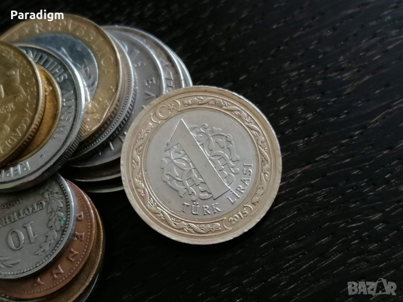 Монета - Турция - 1 лира | 2015г., снимка 1