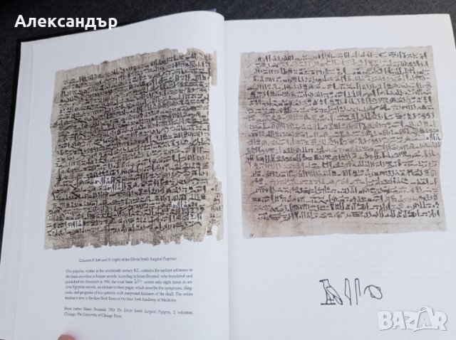 Принципи на невронните науки (на английски език), снимка 6 - Чуждоезиково обучение, речници - 44909530