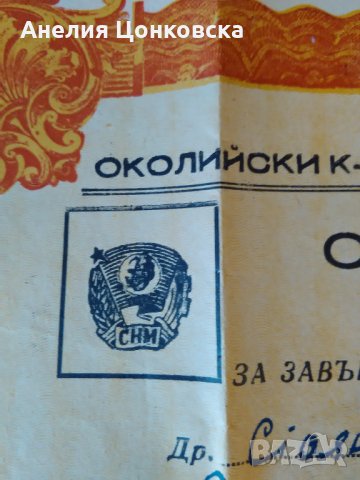 СВИДЕТЕЛСТВО ЗА КАДРИ НА С.Н.М.1948 г., снимка 2 - Антикварни и старинни предмети - 28074007