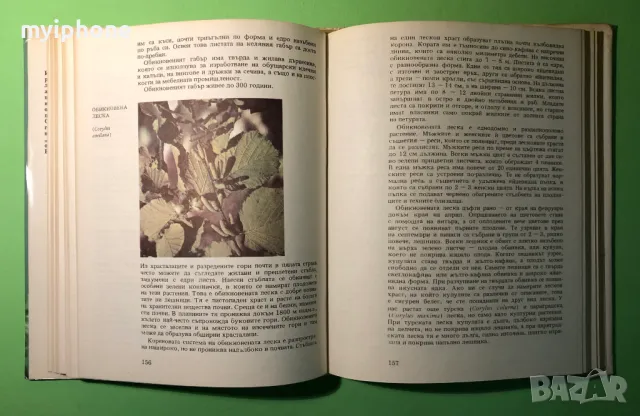 Стара Книга Атлас по Ботаника/Сл.Петров,Е.Паламарев, снимка 7 - Специализирана литература - 49204492