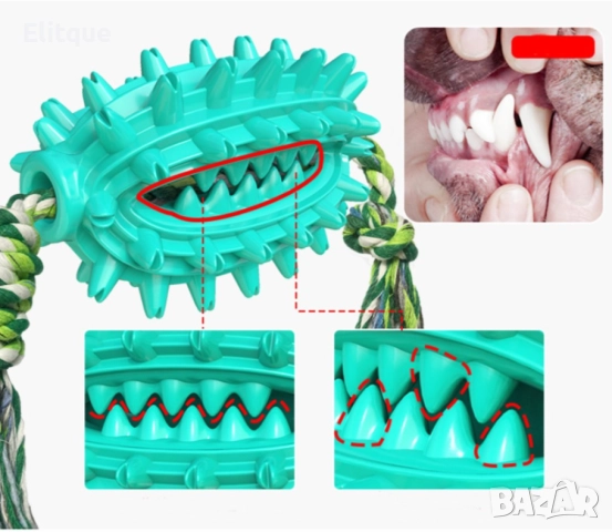 Играчка кактус – четка за зъби за домашни любимци