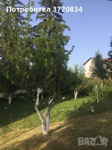 Продава къща- с.Говедарци, обл.Самоков, снимка 3 - Къщи - 49855920