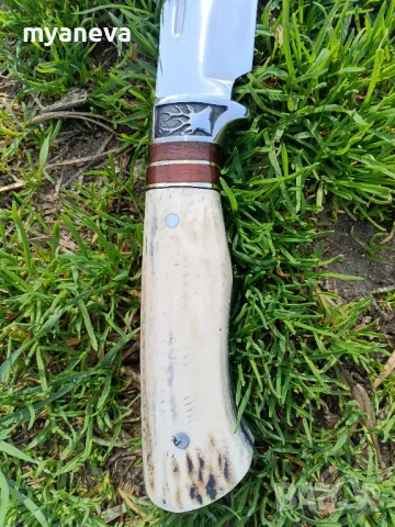 Ловджийски нож с дръжка от еленов рог и стомана 440 C , снимка 5 - Ножове - 49716197