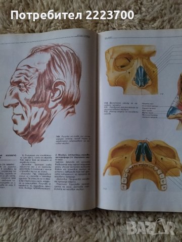 Албум - учебник за художествени училища , снимка 2 - Художествена литература - 43734471