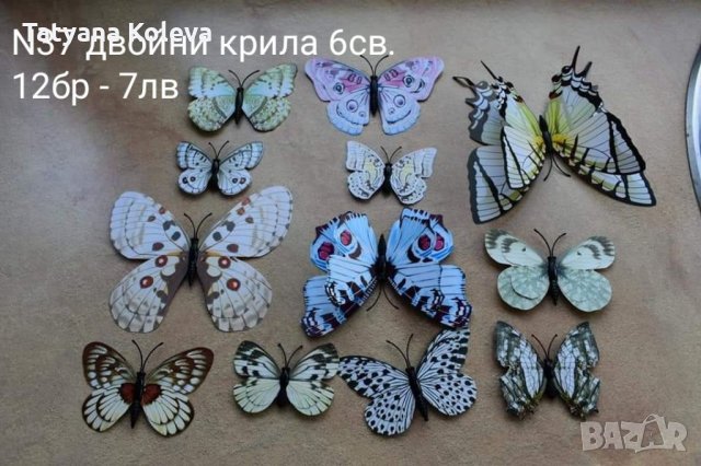 3D пеперуди с двойни и единични крила, снимка 11 - Декорация за дома - 33539065