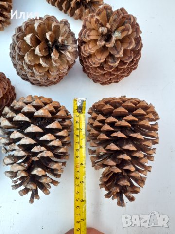 Големи шишарки (от 10 до 17 см) , снимка 5 - Декорация за дома - 38594162