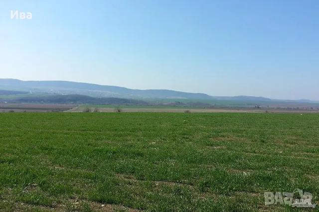 Парцели в м-ст Габарака, село Александрово на ТОП цени от €8 до €15 /кв.м, снимка 3 - Парцели - 48094797