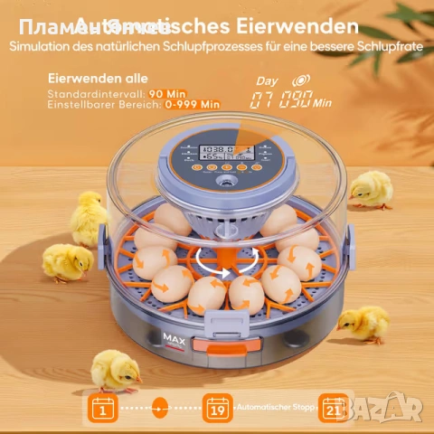 Автоматичен инкубатор за 12 яйца с автоматично завъртане на яйцата и контрол на влажността, снимка 3 - За птици - 53179256