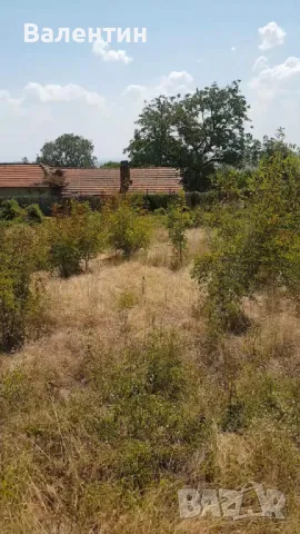 Продава се дворно място 1 800 дка в с. Оряховица, снимка 2 - Парцели - 46948340
