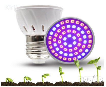 Растеж на растенията LED фито лампа крушка 5W 220V E27 в Стайни растения в  гр. Плевен - ID27633708 — Bazar.bg