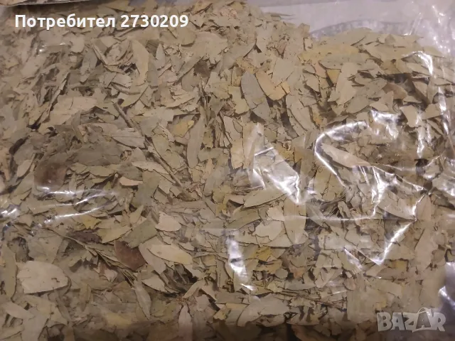 Чай Сена Майчин Лист от 200гр до 1000кг, снимка 7 - Други - 49164846