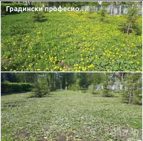 Градинарски услуги КОСЕНЕ КАСТРЕНЕ Почистване на парцели ОЗЕЛЕНЯВАНЕ, снимка 12 - Други услуги - 47757090