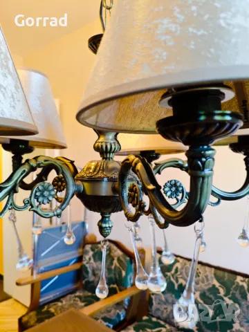 Полилей нов! , снимка 4 - Полилеи - 50080802