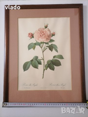 Картини, снимка 2 - Картини - 35116435