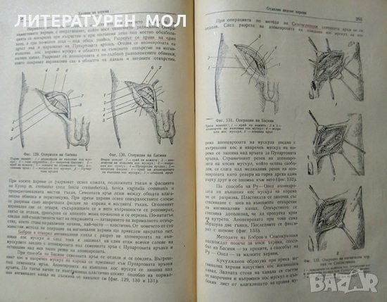 Частна хирургия. А. Г. Бржозовски 1953 г., снимка 3 - Специализирана литература - 27597490