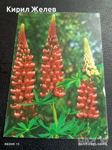 Старо календарче серия ЦВЕТЯ много красиво за КОЛЕКЦИЯ ДЕКОРАЦИЯ 25998