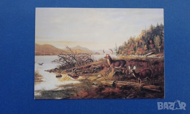 "Западно изкуство(Western Art)"върху 7 двойни картички.Издадени в САЩ, снимка 4 - Колекции - 52380775