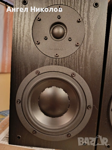 Продавам тонколони SWANS DIY 2.2, снимка 3 - Тонколони - 53480593