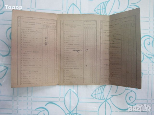 Стар документ Планово нарядна книга на стопанина 1949 , снимка 2 - Колекции - 27788026