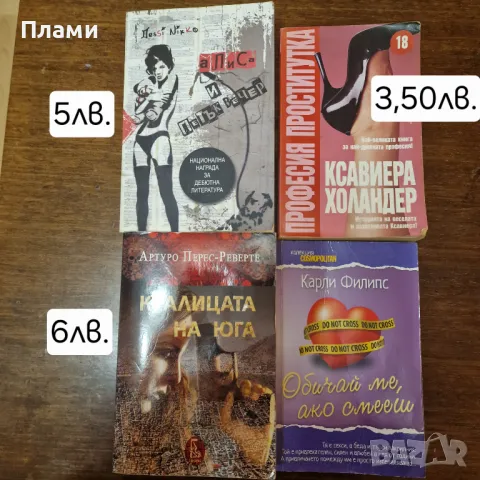 Книги на един прочит, снимка 3 - Други - 48847630