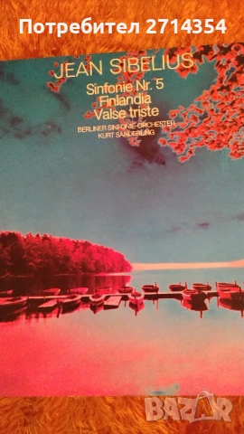 Плочи класическа музика , снимка 8 - Грамофонни плочи - 50461925