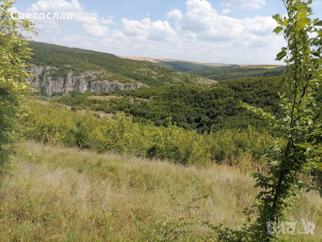 Продавам парцел в регулация в с. Кошов , снимка 5 - Парцели - 37338185