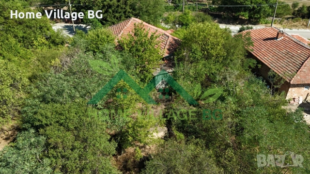 Просторна къща за ремонт или събаряне, обл.Силистра, снимка 5 - Къщи - 53231264