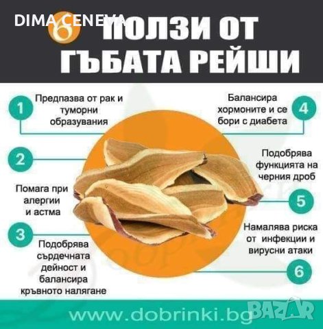 Гъба Рейши . Чудото, против ракови клетки!, снимка 3 - Други услуги - 44031885