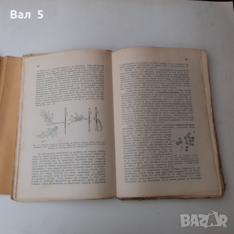 Физиология на човека + Физиология 1929 , 1933 г, снимка 6 - Специализирана литература - 28873518