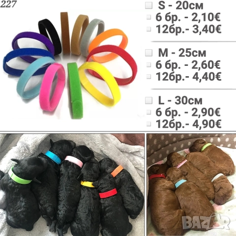 Нашийници за идентификация на новородени домашни любимци. Нашийник за малко куче. Нашийници за котки