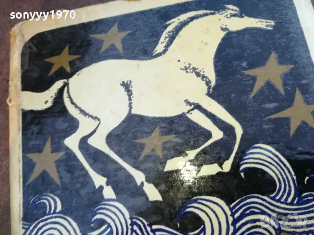 ПЯСЪЧКО 1710242012, снимка 7 - Други - 47623265