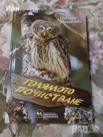 Голямото почистване